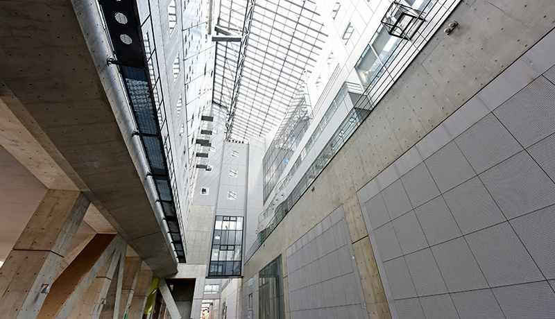 爱尔兰精灵官网会员登录 物語の中心となる金田一家の主・金田文平には、ドラマ・映画・舞台・ラジオなど様々なジャンルで活躍する個性派俳優、古田新太が決定