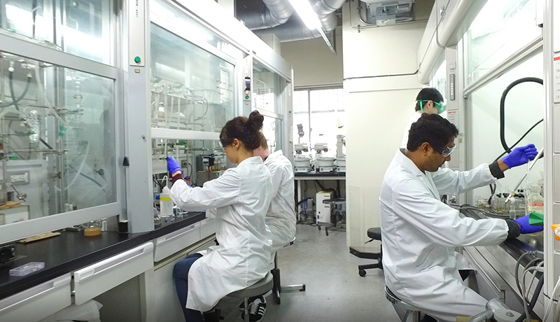 利来国际下载官网 国内外から約30匹のネコを大選抜　撮影で世界各地に赴き、50年以上ネコの撮影を続けてきた岩合氏にも、思い入れの強いネコがいるという